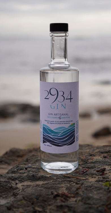 Bouteille Gin 2934