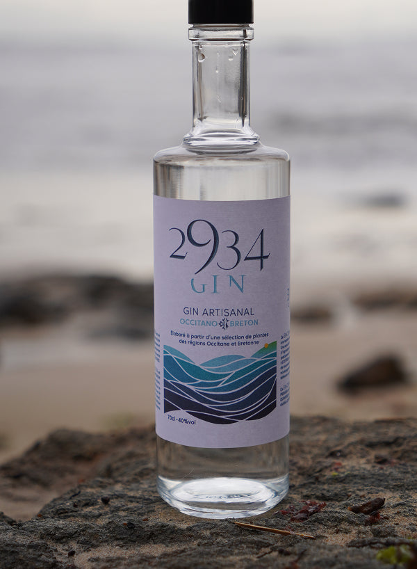 Bouteille de Gin 2934 sur un rocher