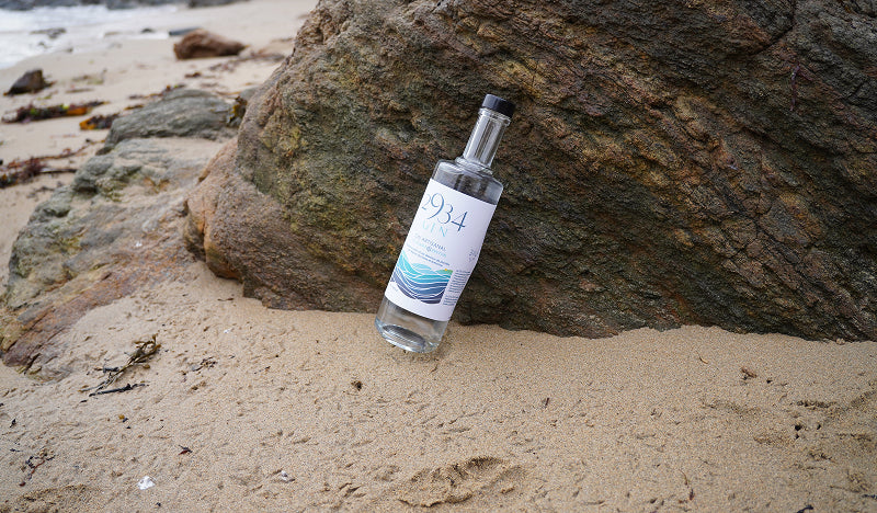 Bouteille de Gin 2934 sur la plage