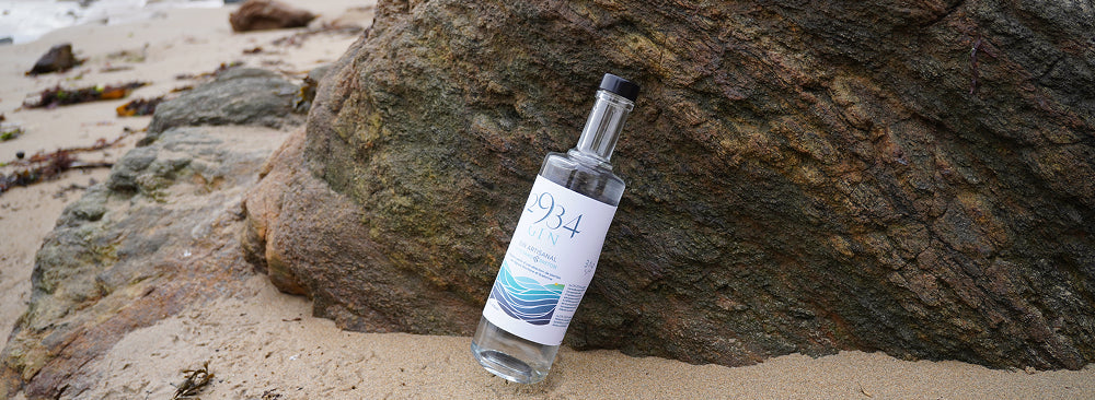 Gin 2934 sur la plage
